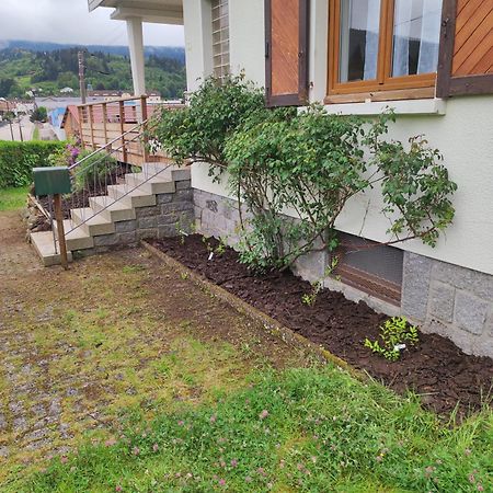 Gite Papillon 6 A14 Personnes - Jacuzzi Gérardmer Esterno foto